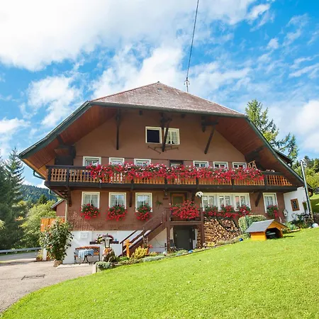 Pensión Gaestehaus Klingele Todtmoos