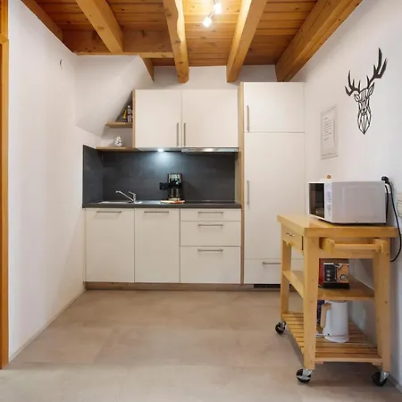 Gaestehaus Klingele 3* Todtmoos